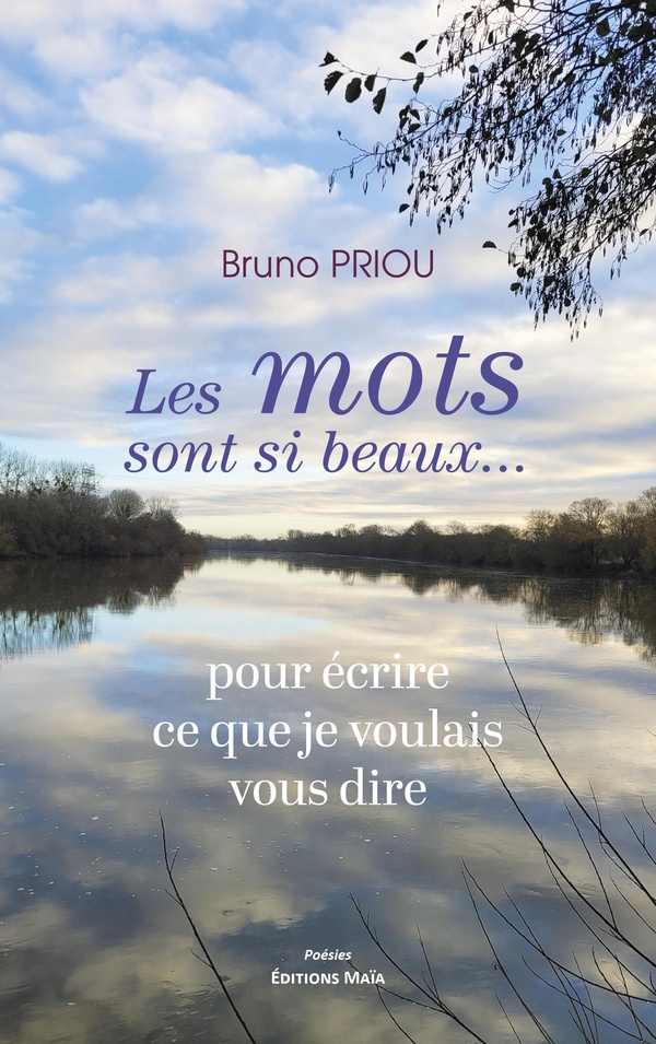 LES MOTS SONT SI BEAUX... POUR ECRIRE CE QUE JE VOULAIS DIRE