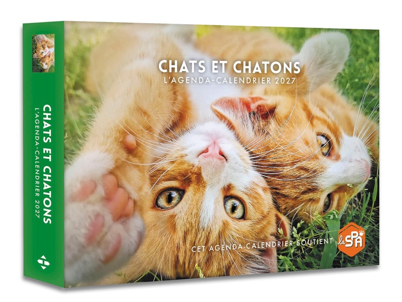 CHATS ET CHATONS - AGENDA - CALENDRIER - 2027