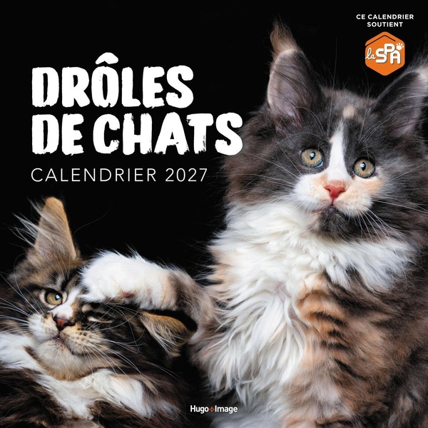 CALENDRIER MURAL DROLES DE CHATS 2027