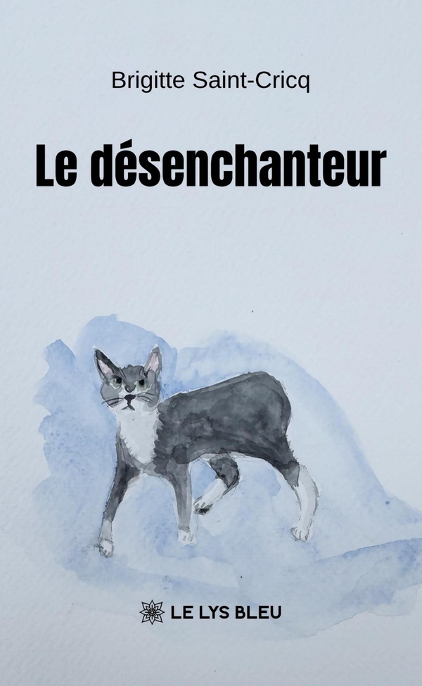 LE DESENCHANTEUR