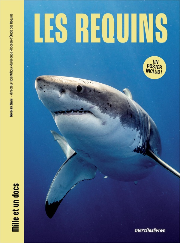 LES REQUINS - MILLE ET UN DOCS - INCLUS : UN POSTER RECTO VERSO !