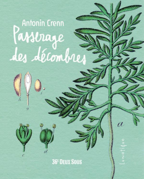 PASSERAGE DES DECOMBRES
