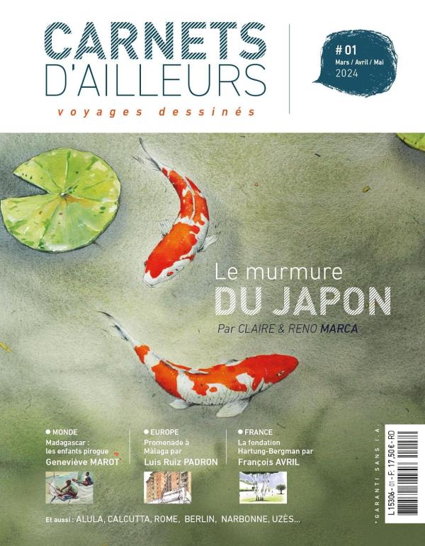 CARNETS D'AILLEURS T01 - VOYAGES DESSINES