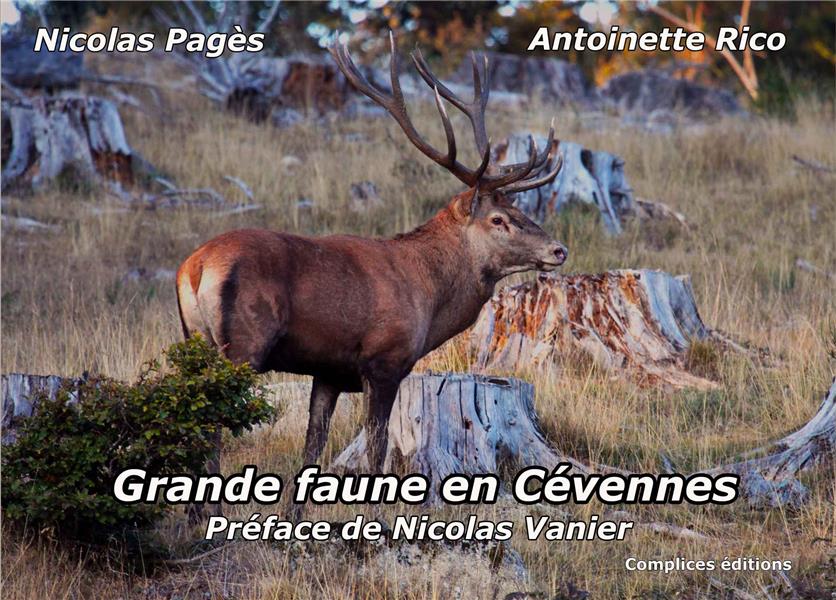 GRANDE FAUNE EN CEVENNES