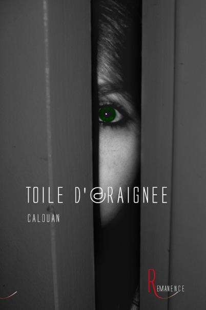 TOILE D'ARAIGNEE