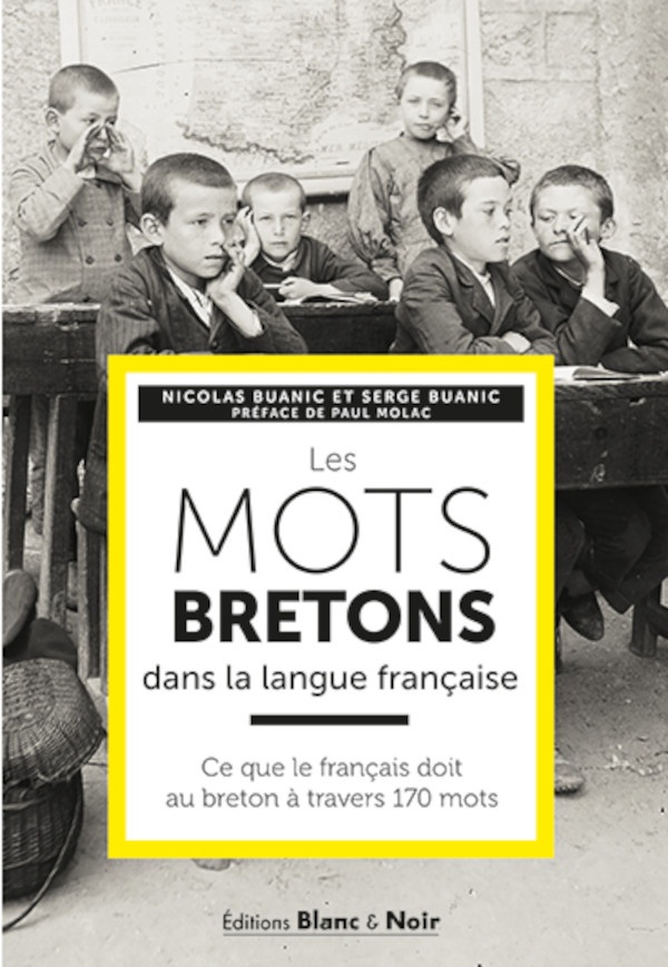 LES MOTS BRETONS DANS LA LANGUE FRANCAISE - CE QUE LE FRANCAIS DOIT AU BRETON A TRAVERS 170 MOTS - E