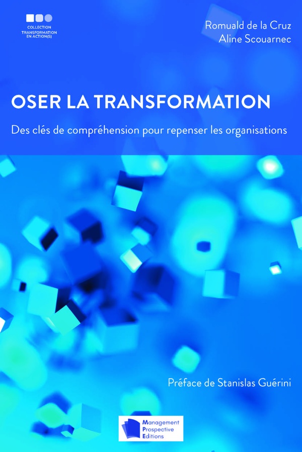 OSER LA TRANSFORMATION - DES CLES DE COMPREHENSION POUR REPENSER LES ORGANISATIONS