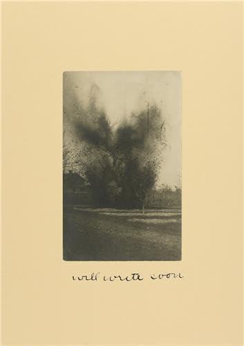 WILL WRITE SOON /ANGLAIS