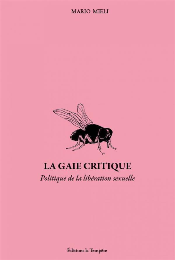 LA GAIE CRITIQUE - POLITIQUE ET LIBERATION SEXUELLE DANS LES ANNEES SOIXANTE-DIX. ECRITS (1972-1983)