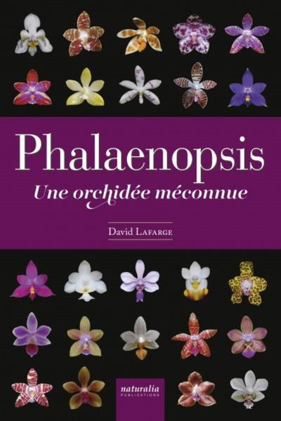 PHALAENOPSIS - UNE ORCHIDEE MECONNUE