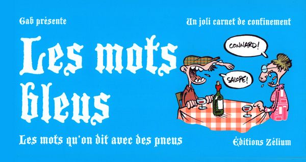 LES MOTS BLEUS - LES MOTS QU ON DIT AVEC DES PNEUS