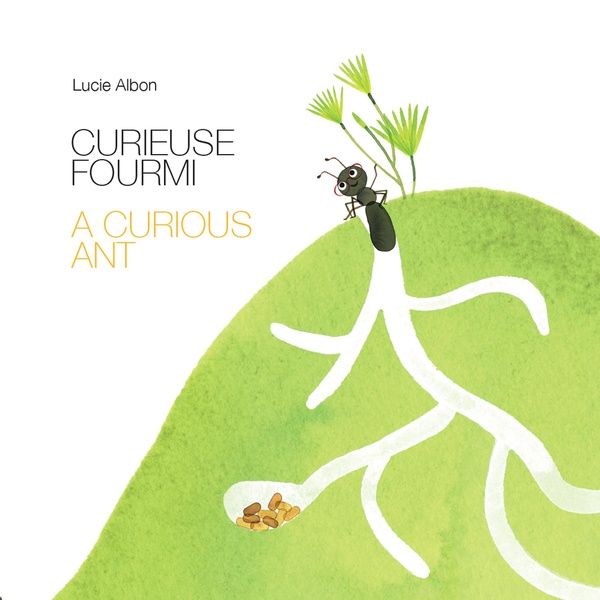 CURIEUSE FOURMI A CURIOUS ANT