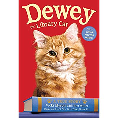 DEWEY THE LIBRARY CAT