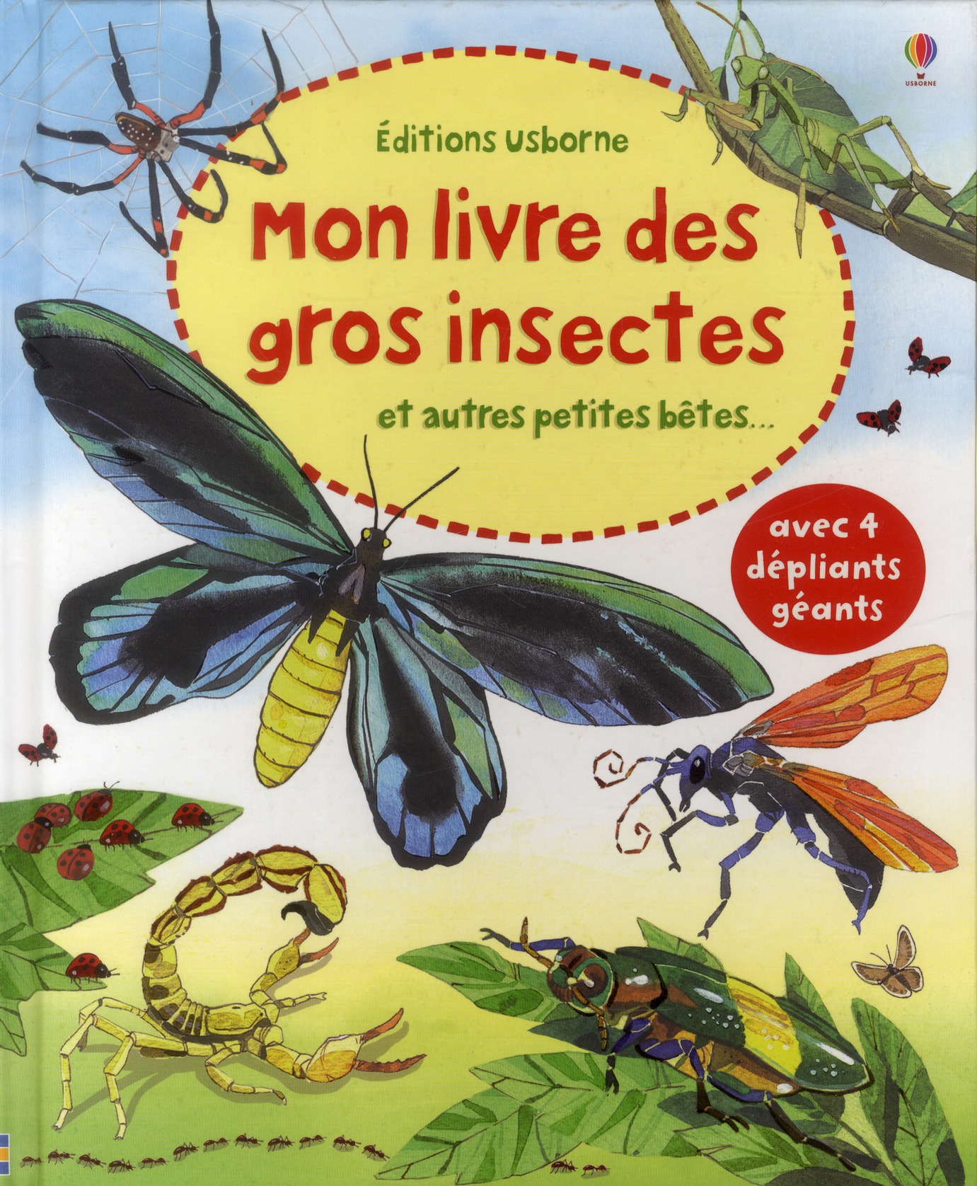 MON LIVRE DES GROS INSECTES