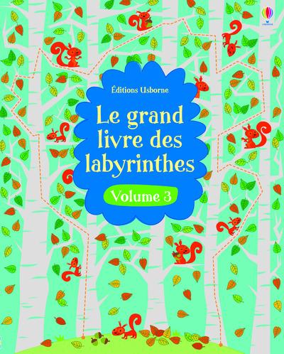 LE GRAND LIVRE DES LABYRINTHES - VOLUME 3