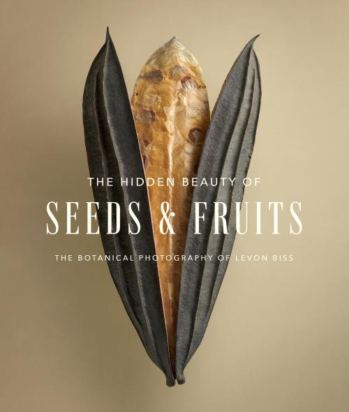 THE HIDDEN BEAUTY OF SEEDS & FRUITS