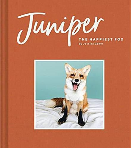 JUNIPER THE HAPPIEST FOX
