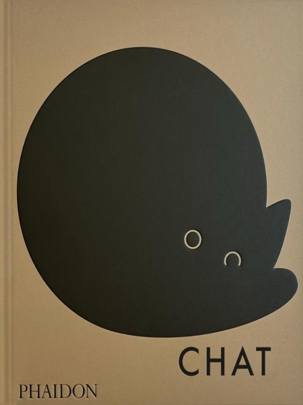 CHAT - ILLUSTRATIONS, COULEUR