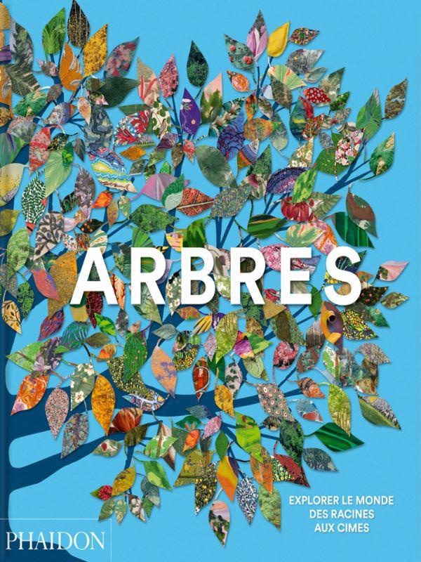 ARBRES - EXPLORER LE MONDE, DES RACINES AUX CIMES - ILLUSTRATIONS, COULEUR