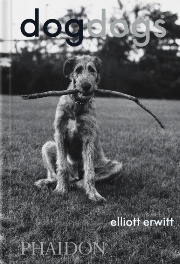 DOGDOGS