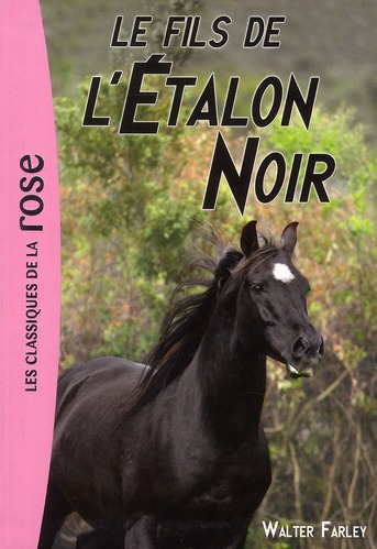 L'ETALON NOIR - T04 - L'ETALON NOIR 04 - LE FILS DE L'ETALON NOIR