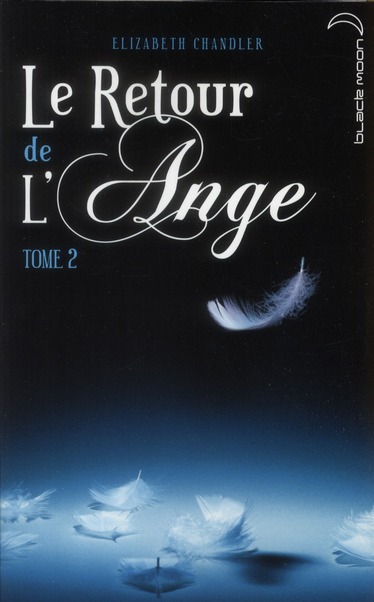 LE RETOUR DE L'ANGE - TOME 2 - LA POURSUITE