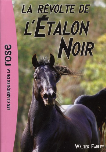 L'ETALON NOIR - T06 - L'ETALON NOIR 06 - LA REVOLTE DE L'ETALON NOIR