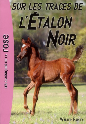 L'ETALON NOIR - T07 - L'ETALON NOIR 07 - SUR LES TRACES DE L'ETALON NOIR