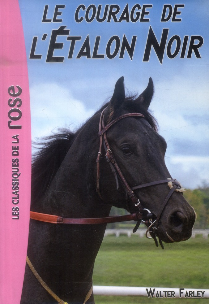 L'ETALON NOIR - T13 - L'ETALON NOIR 13 - LE COURAGE DE L'ETALON NOIR