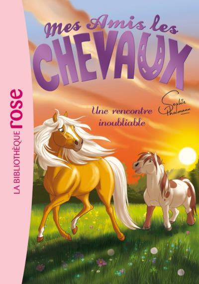 MES AMIS LES CHEVAUX - SOPHIE THALMANN - T06 - MES AMIS LES CHEVAUX 06 - UNE RENCONTRE INOUBLIABLE