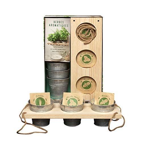 COFFRET HERBES AROMATIQUES - FAITES POUSSER DES HERBES AROMATIQUES DANS VOTRE CUISINE