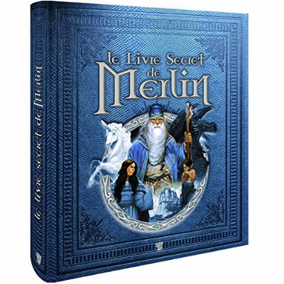 LE LIVRE SECRET DE MERLIN