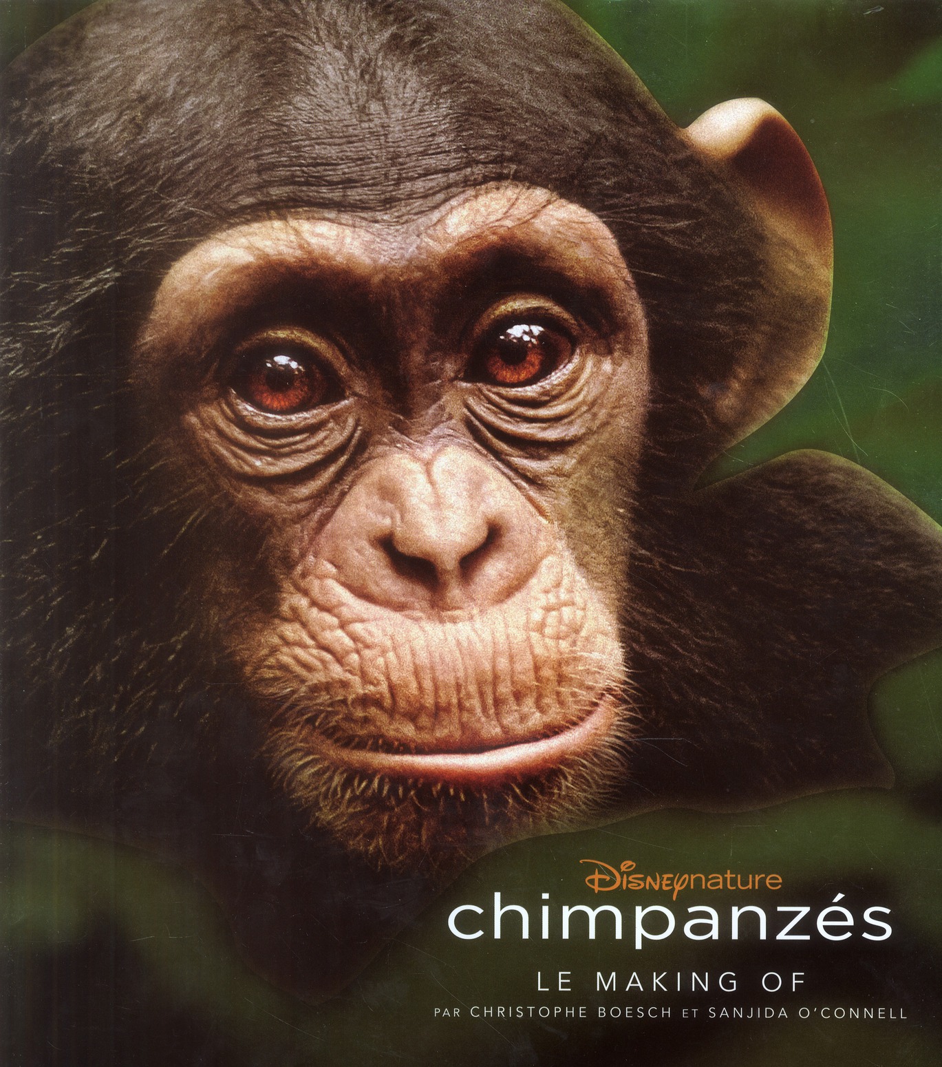 CHIMPANZES, BEAU LIVRE