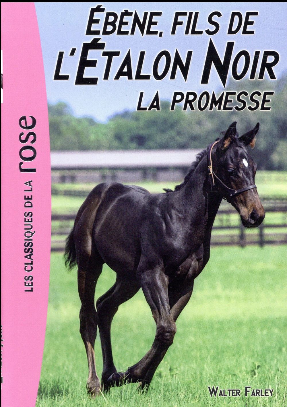 L'ETALON NOIR - T21 - L'ETALON NOIR 21 - EBENE, LE FILS DE L'ETALON NOIR