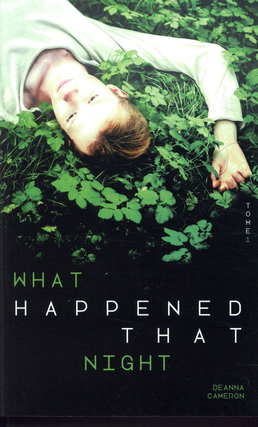 WHAT HAPPENED THAT NIGHT - TOME 1