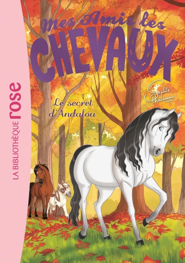 MES AMIS LES CHEVAUX - SOPHIE THALMANN - T19 - MES AMIS LES CHEVAUX 19 - LE SECRET D'ANDALOU