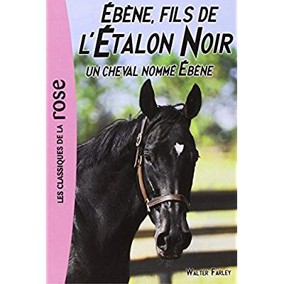 L'ETALON NOIR - T22 - L'ETALON NOIR 22 - UN CHEVAL NOMME EBENE