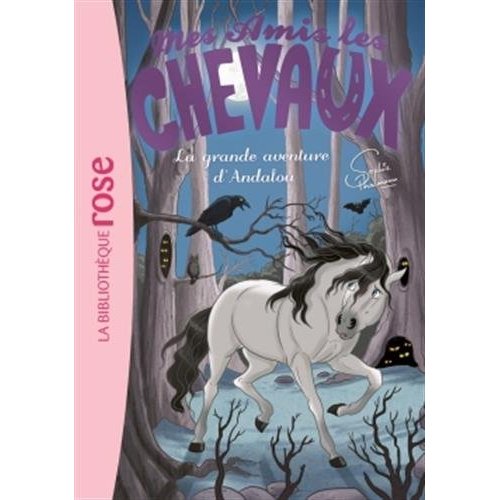 MES AMIS LES CHEVAUX - SOPHIE THALMANN - T21 - MES AMIS LES CHEVAUX 21 - LA GRANDE AVENTURE D'ANDALO