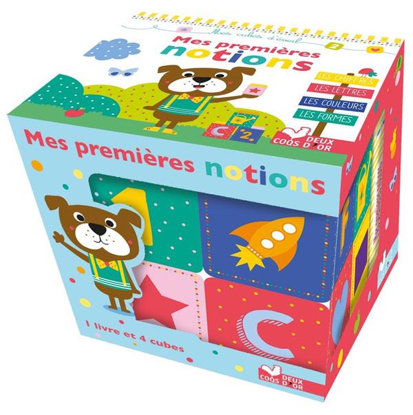 MES PREMIERES NOTIONS - BOITE AVEC CUBES EN PVC ET TOUT CARTON