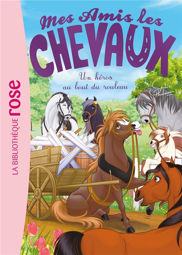 MES AMIS LES CHEVAUX - SOPHIE THALMANN - T41 - MES AMIS LES CHEVAUX 41 - UN HEROS AU BOUT DU ROULEAU