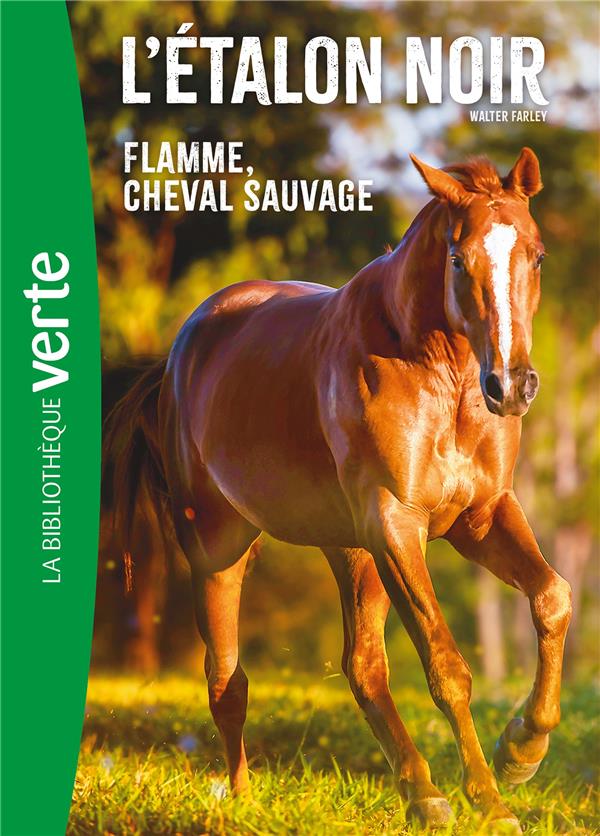 L'ETALON NOIR - T10 - L'ETALON NOIR NED 10 -  FLAMME CHEVAL SAUVAGE