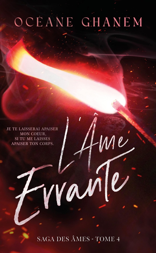 LA SAGA DES AMES - L'AME ERRANTE - SAGA DES AMES TOME 4