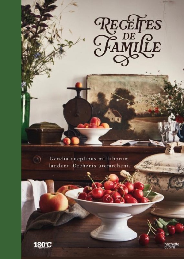 RECETTES DE FAMILLE - CARNET DE RECETTES A TRANSMETTRE A CEUX QU'ON AIME