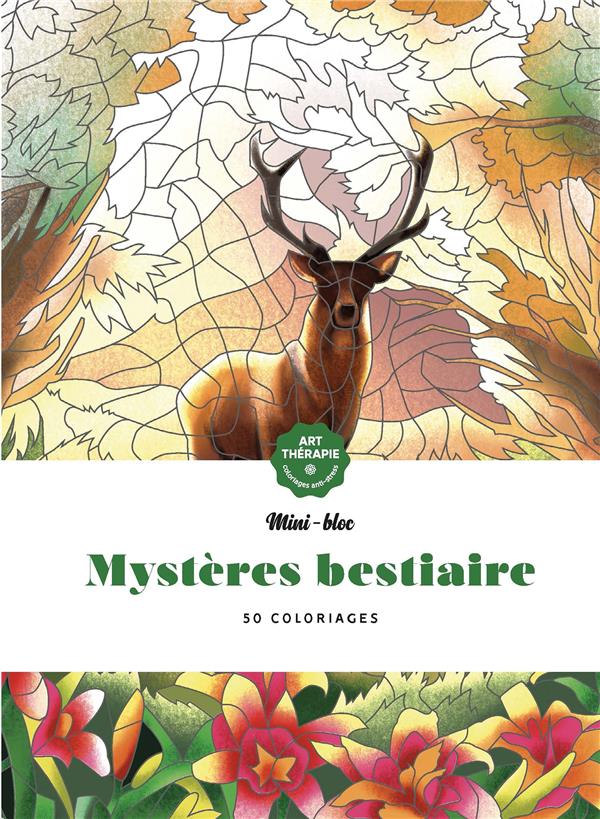 MINI-BLOCS D'ART-THERAPIE MYSTERES BESTIAIRE