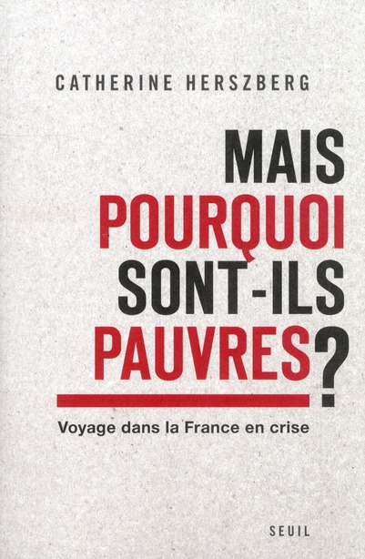 MAIS POURQUOI SONT-ILS PAUVRES? - VOYAGE DANS LA FRANCE EN CRISE