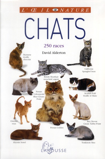 CHATS - NOUVELLE PRESENTATION