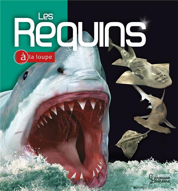 LES REQUINS