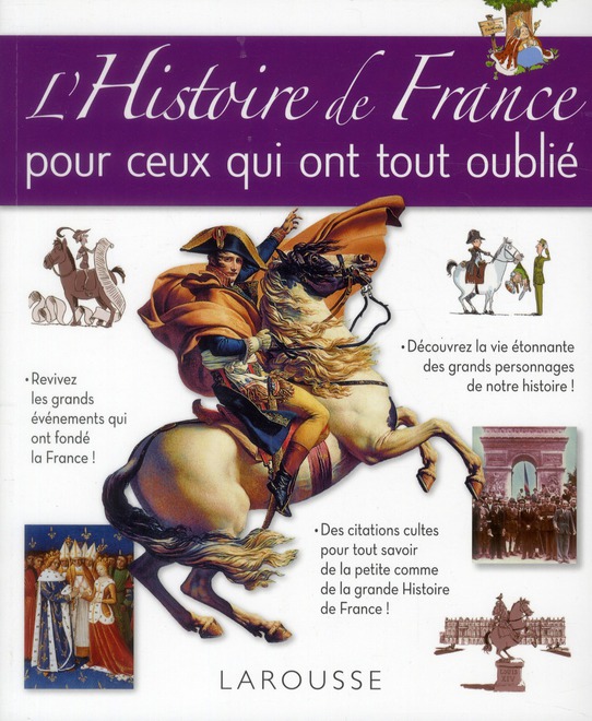 L'HISTOIRE DE FRANCE POUR CEUX QUI ONT TOUT OUBLIE