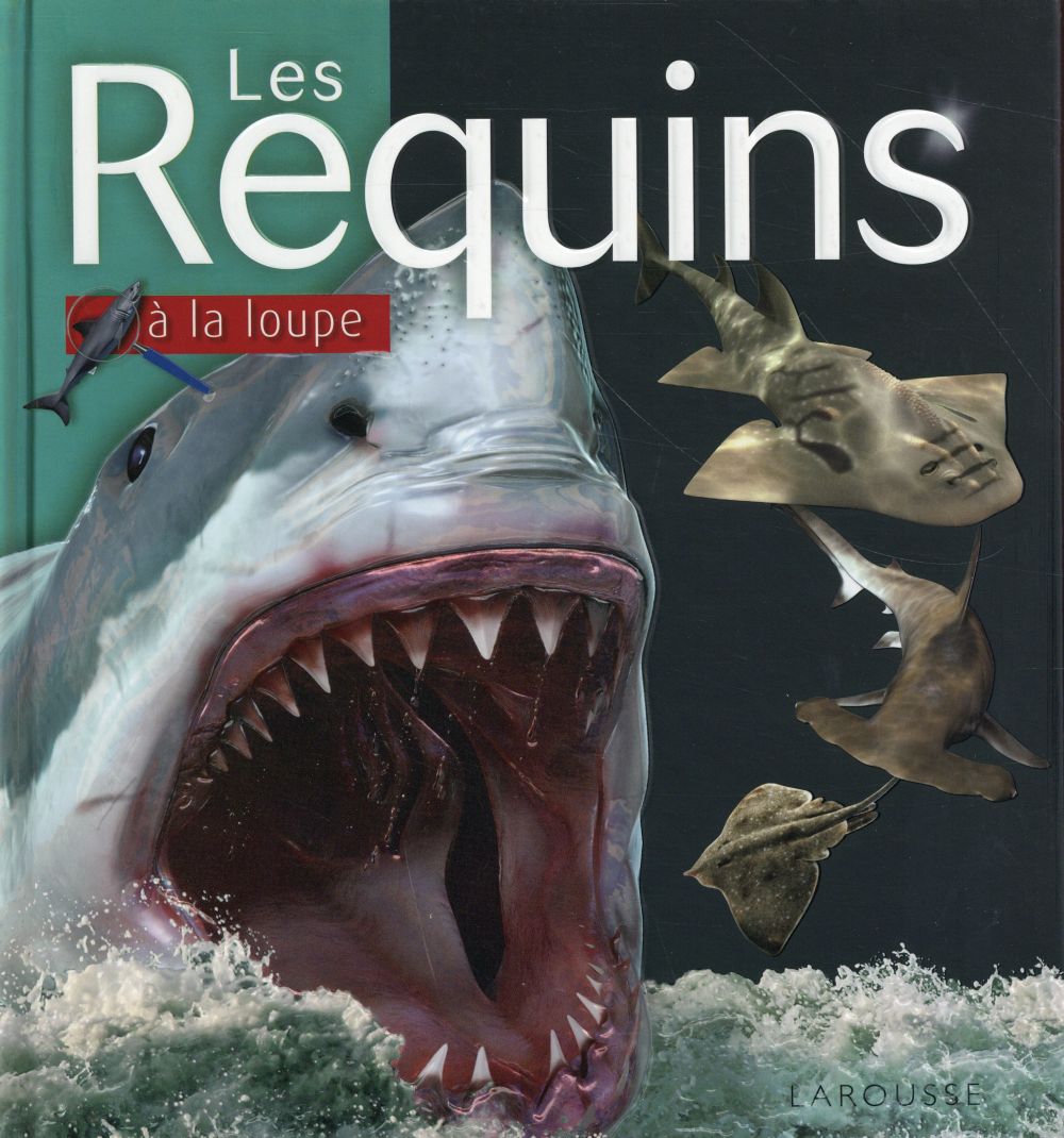 LES REQUINS