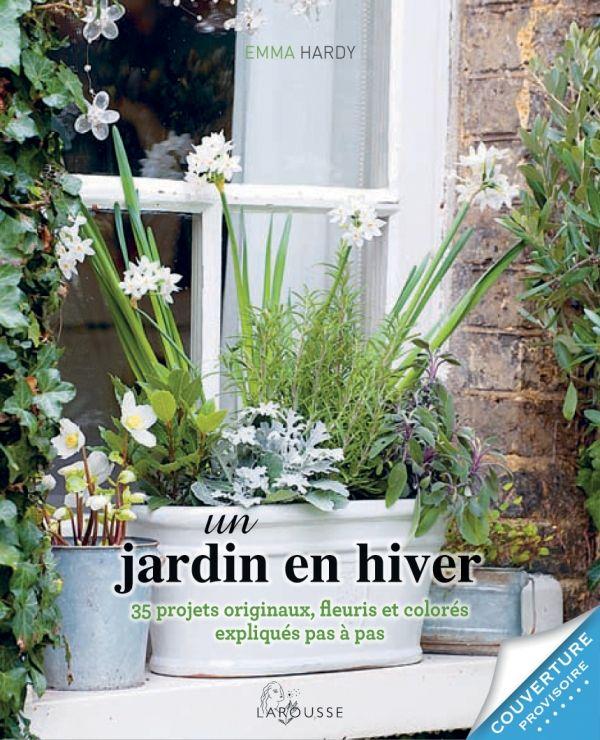 UN JARDIN EN HIVER